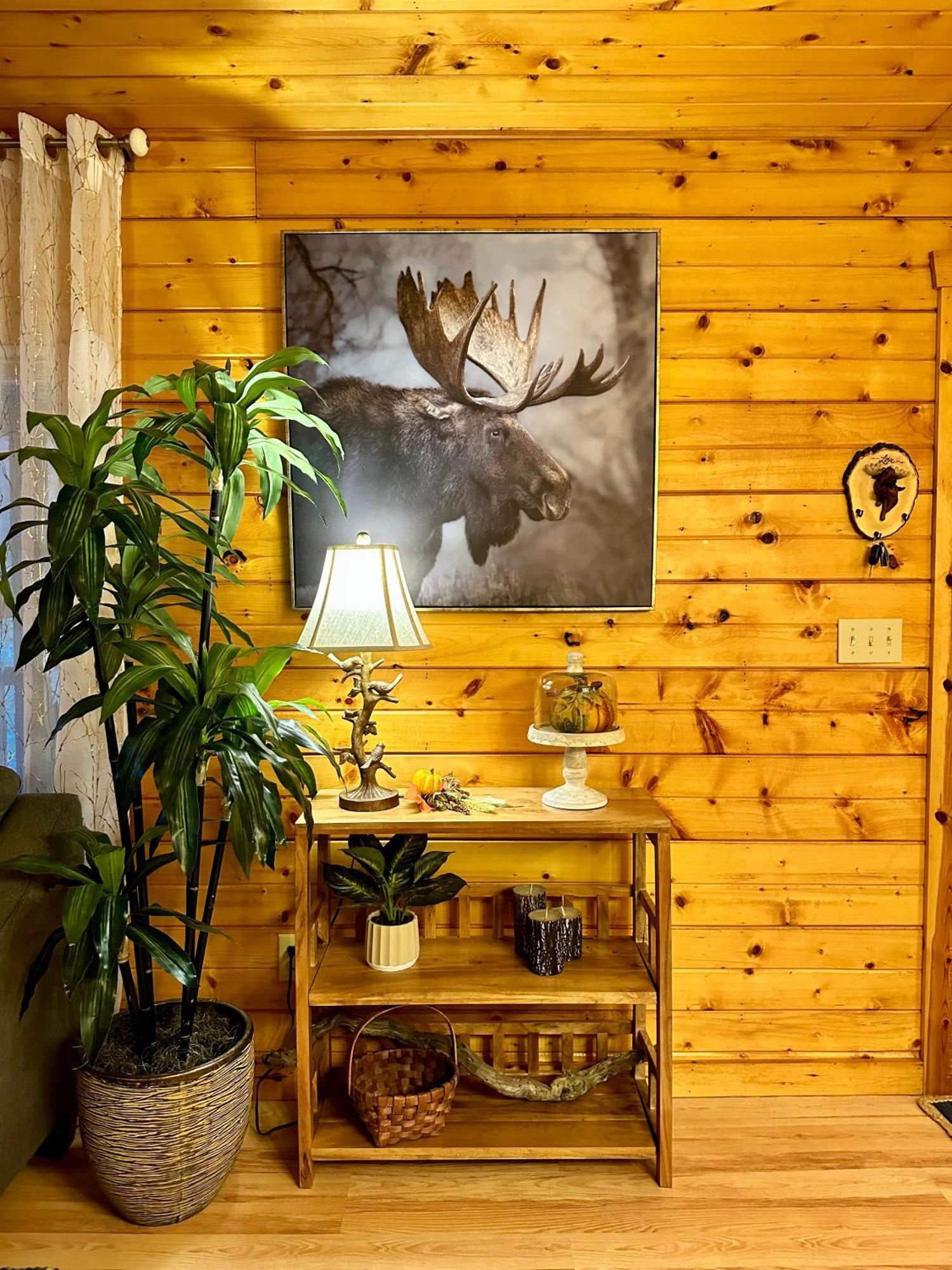 Cozy Cabin In Red River Gorge Rogers Eksteriør bilde