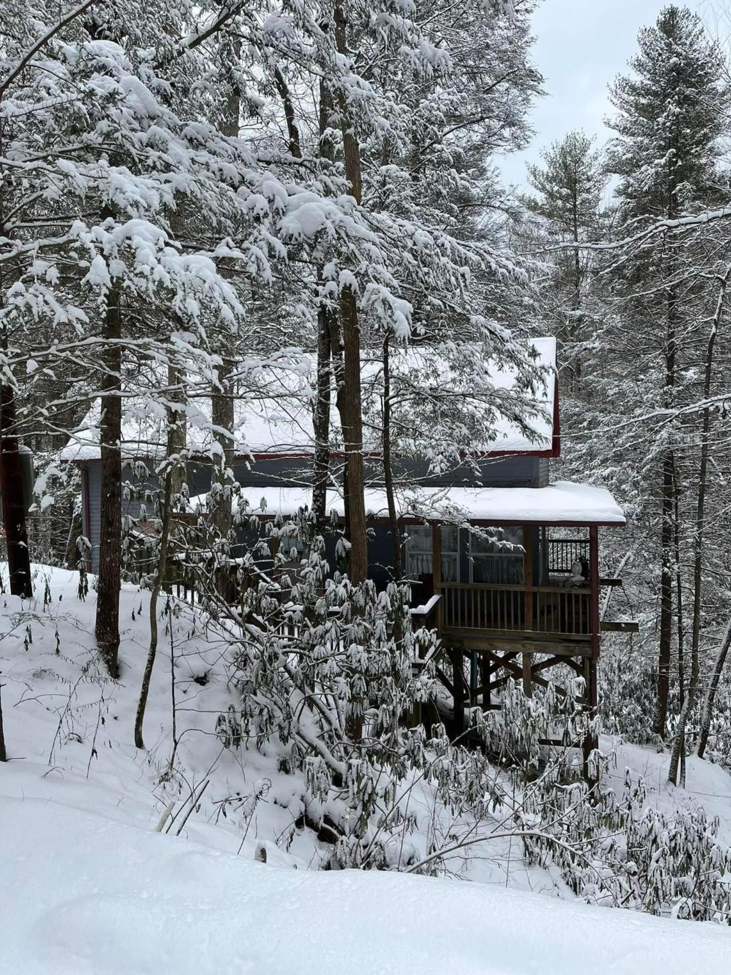 Cozy Cabin In Red River Gorge Rogers Eksteriør bilde
